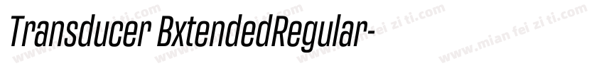 Transducer BxtendedRegular字体转换